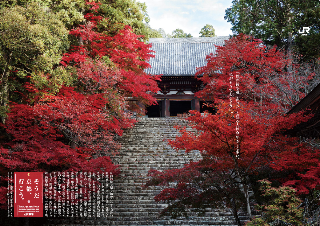 終了】今年の秋は、待ち望んだ京都へ | そうだ 京都、行こう。