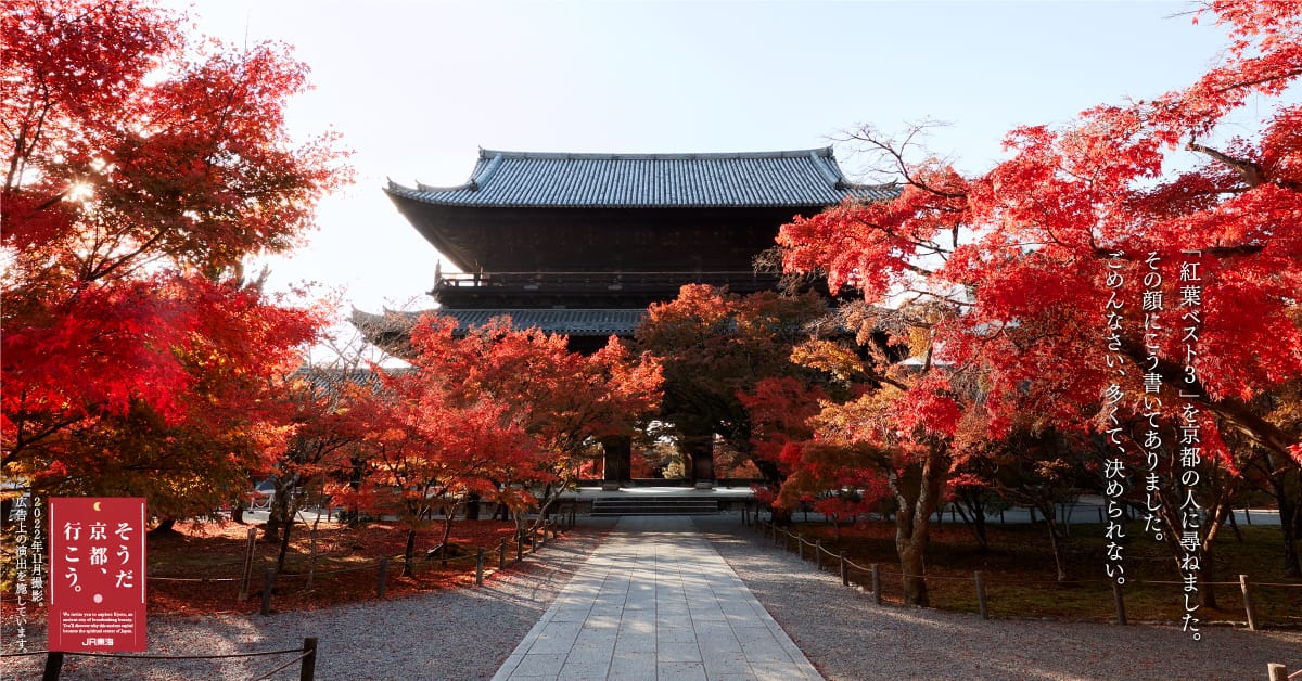 この秋、京都で美しい紅葉を堪能｜そうだ 京都、行こう。