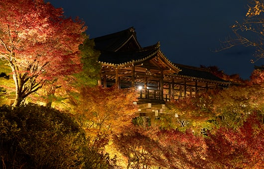 東福寺イメージ