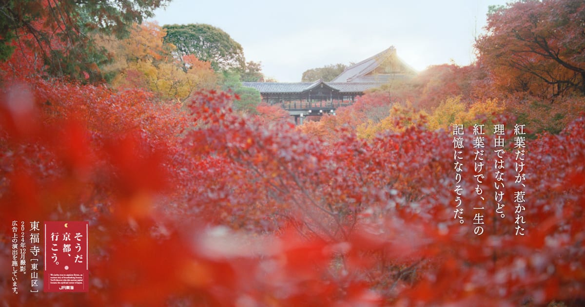 2025年秋「そうだ 京都、行こう。」キャンペーン｜そうだ 京都、行こう。