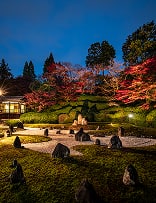 夜間貸切特別拝観 イメージ