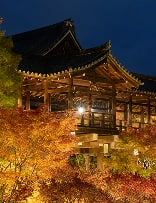 夜間貸切特別拝観 イメージ