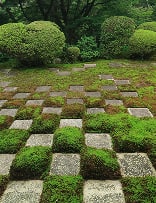 重森三玲の名庭を巡る〜重森千靑氏と歩く東福寺の名園群～ イメージ