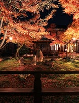 時間外貸切特別拝観 イメージ