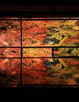 夜間特別拝観 イメージ