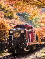秋の嵯峨野トロッコと楽しむ嵐山スイーツ「zarame」の京綿菓子＆「福七」の羊羹プリン イメージ