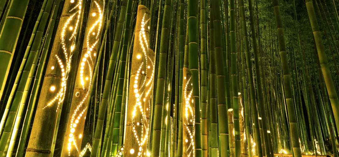 嵐山月灯路 イメージ