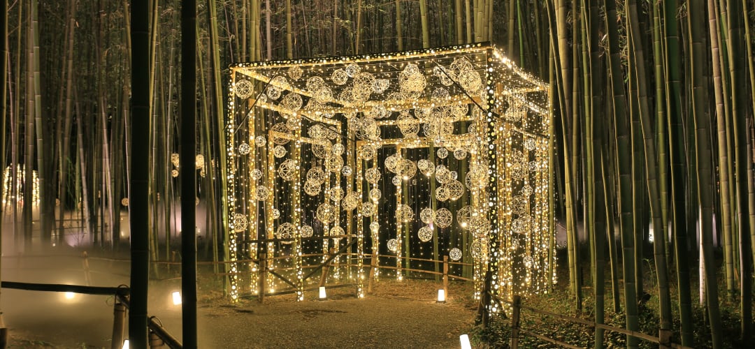 嵐山月灯路 イメージ