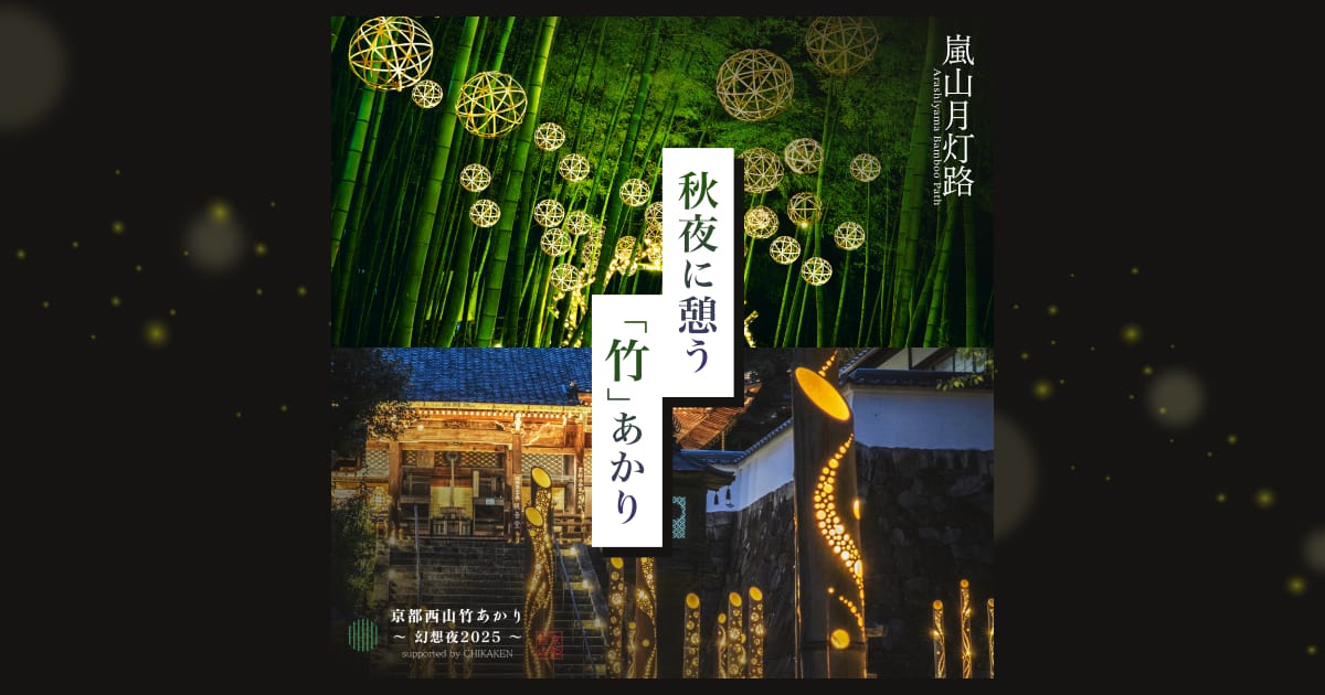 秋夜に憩う「竹」あかり｜そうだ 京都、行こう。