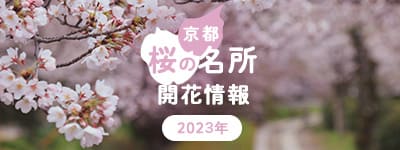 桜の名所開花情報