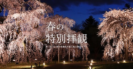 春の特別拝観