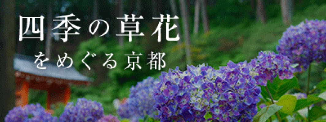 四季の草花をめぐる京都