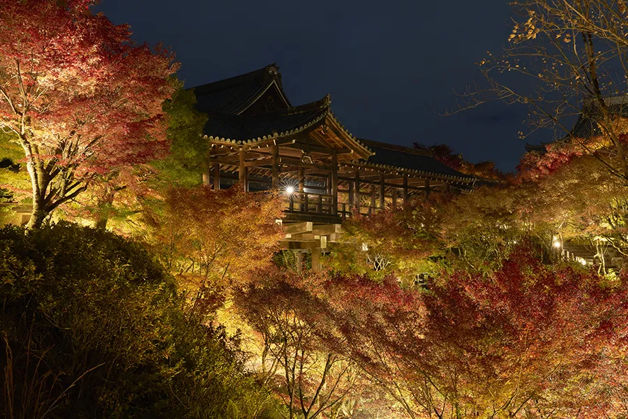 東福寺早朝貸切拝観／夜間貸切拝観 塔頭めぐりクーポン