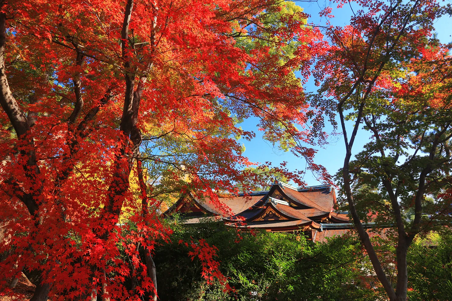 北野天満宮