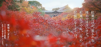そうだ 京都、行こう。