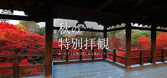 秋の特別拝観