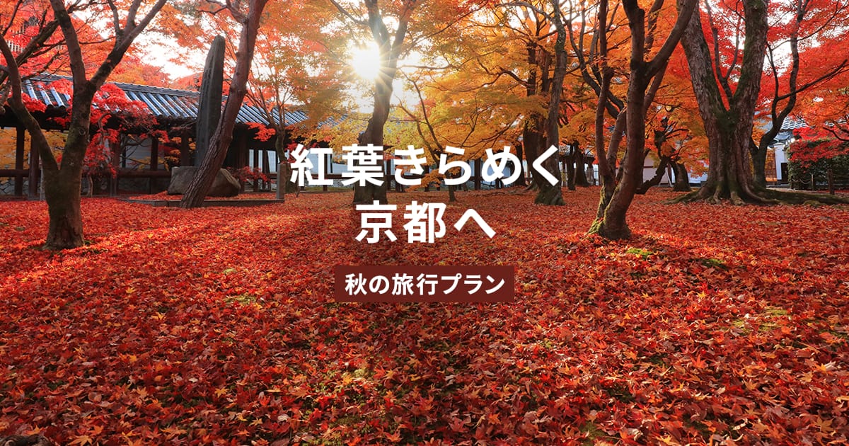紅葉きらめく京都へ。秋の旅行プラン｜そうだ 京都、行こう。