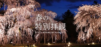 春の特別拝観