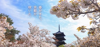 そうだ 京都、行こう。