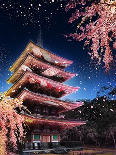 終了】京都を楽しむ特別プラン｜そうだ 京都、行こう。
