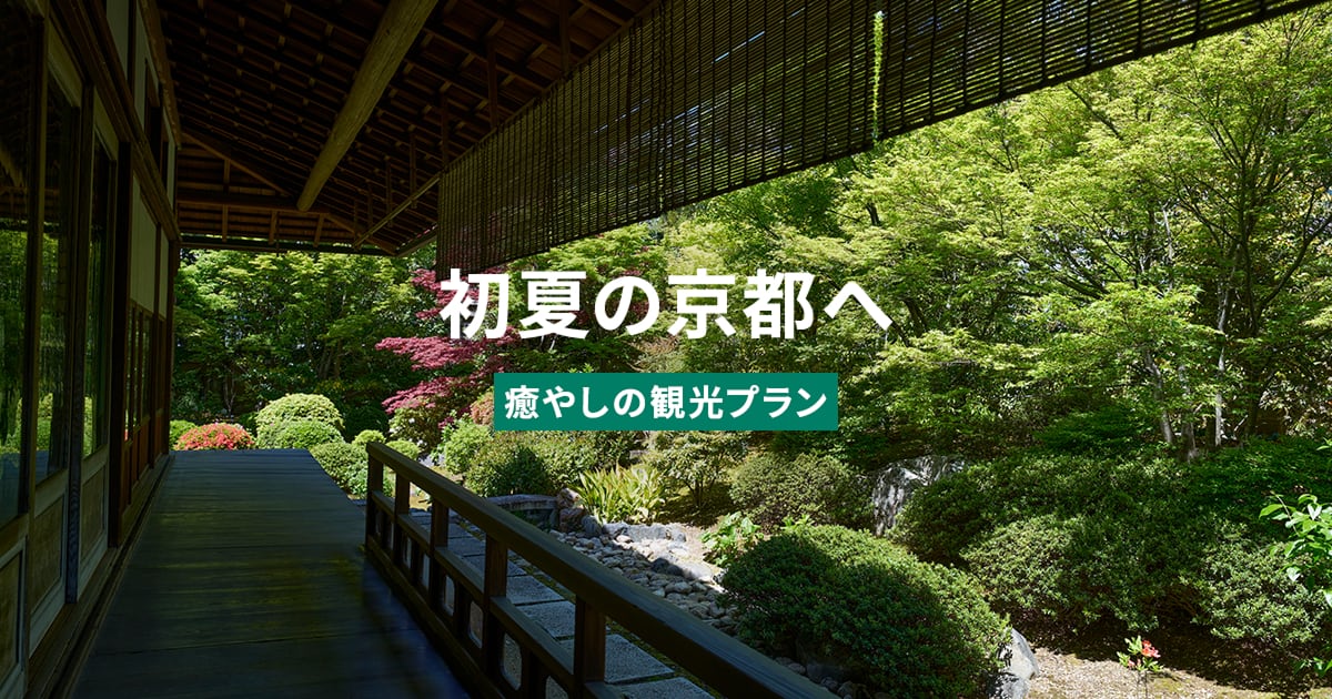 そうだ京都、行こう。 TVCM】2025年 初夏（30秒）編 そうだ 京都、行こう。 - YouTube