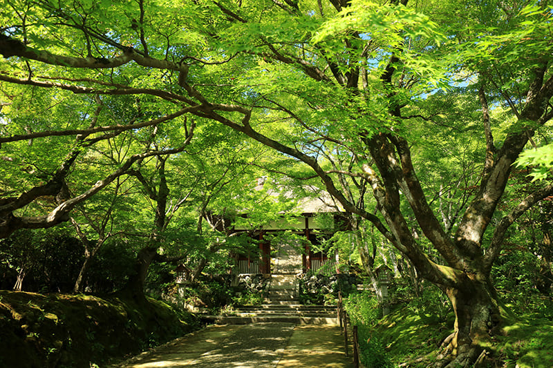 常寂光寺