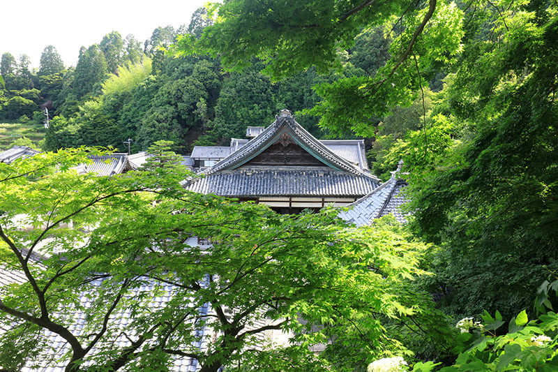 楊谷寺