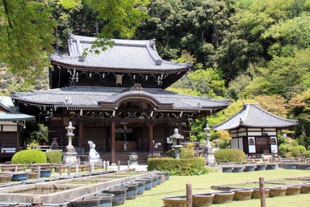 三室戸寺【京都】