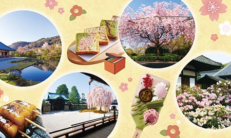 花咲く京都の寺院&スイーツクーポン