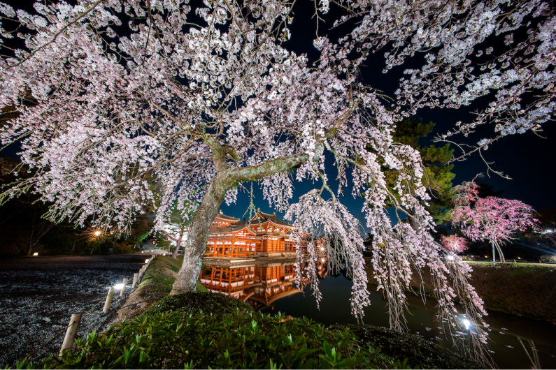 平等院