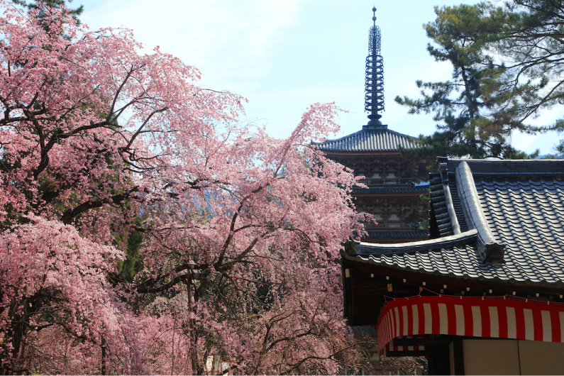 醍醐寺伽藍