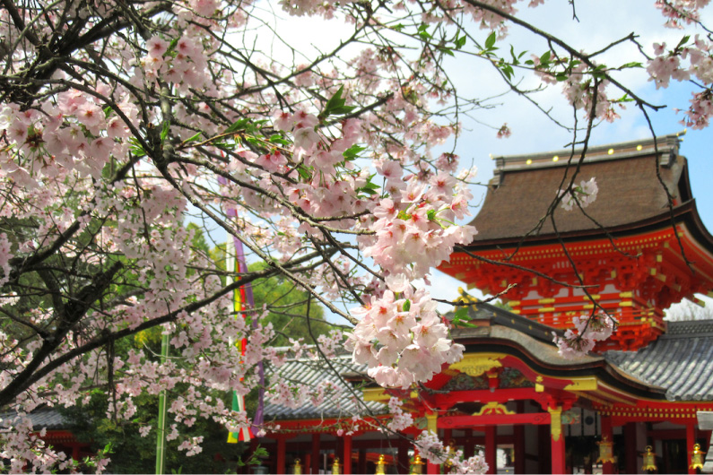 【切り絵御朱印×桜】石清水八幡宮