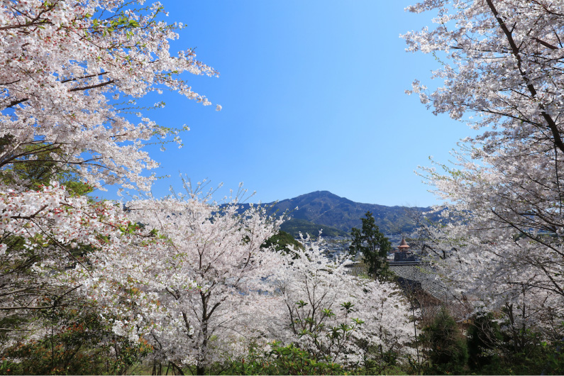 妙満寺