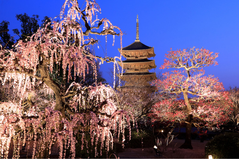 東寺