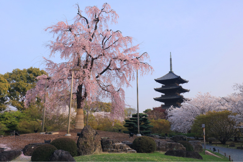 東寺