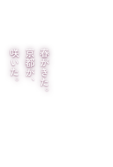 春が来た。京都が、咲いた。