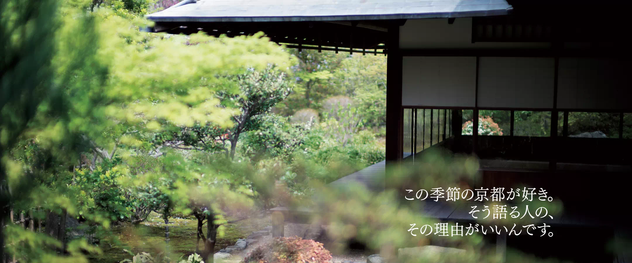 この季節の京都が好き。そう語る人の、その理由がいいんです。