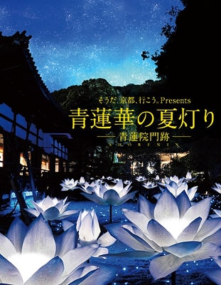 2026年初夏「そうだ 京都、行こう。」キャンペーン｜そうだ 京都、行こう。