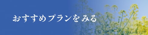 おすすめプランをみる