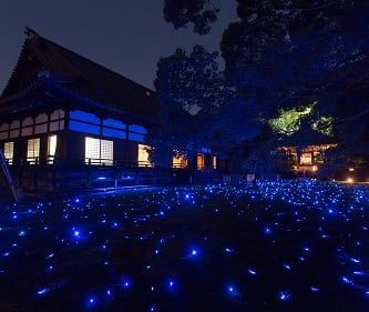 知恩院の今を知る　ー「勢至堂」修理現場見学とお坊さんのご案内で境内参拝ー イメージ