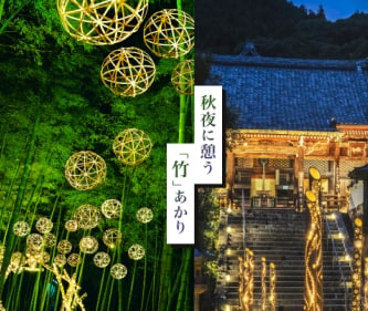 「京たけのこ」掘り体験ツアー イメージ