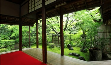 妙心寺桂春院 写真