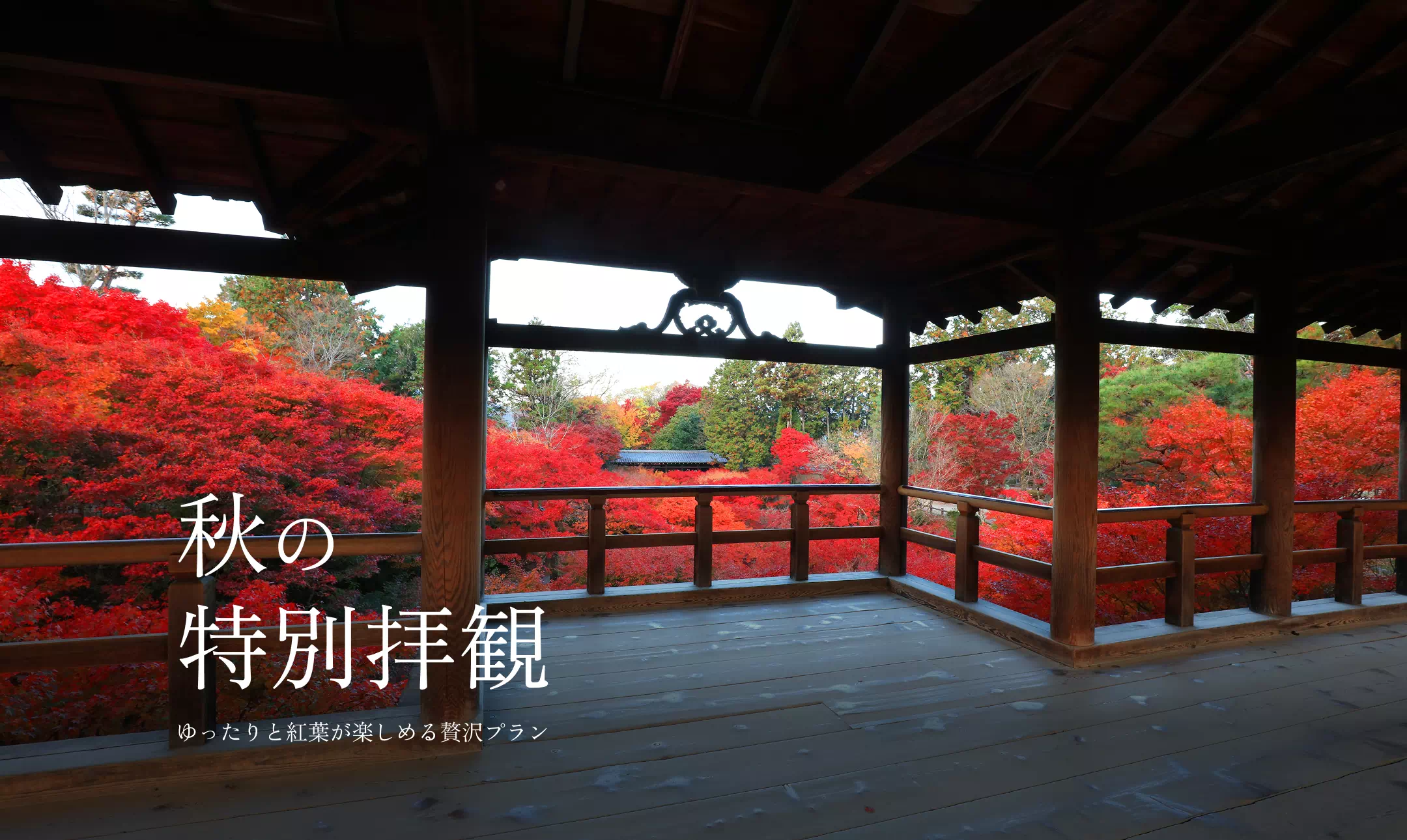 秋の特別拝観 ゆったりと紅葉が楽しめる贅沢プラン