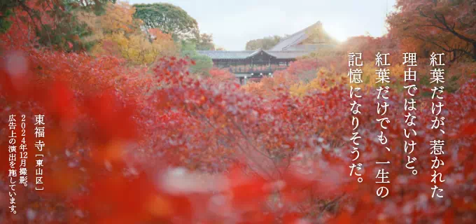2025年秋「そうだ 京都、行こう。」キャンペーン