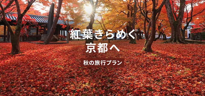 紅葉きらめく京都へ 秋の旅行プラン