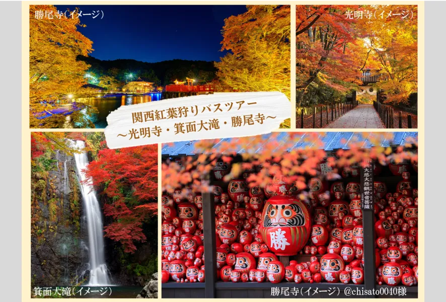 関西紅葉狩りバスツアー ～光明寺・箕面大滝・勝尾寺～