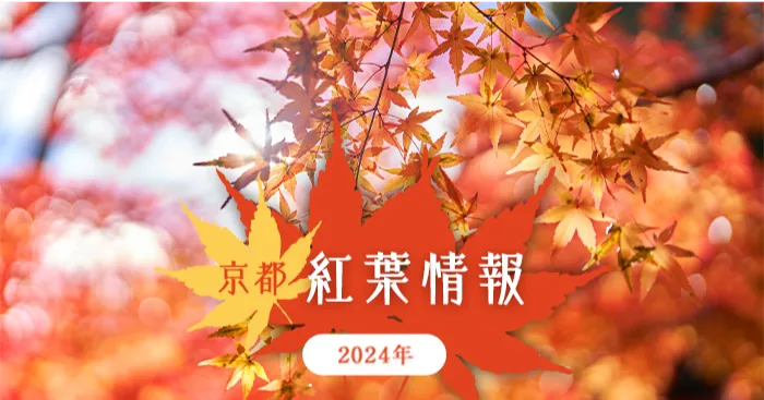 京都 紅葉情報2024