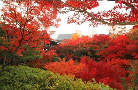 東福寺