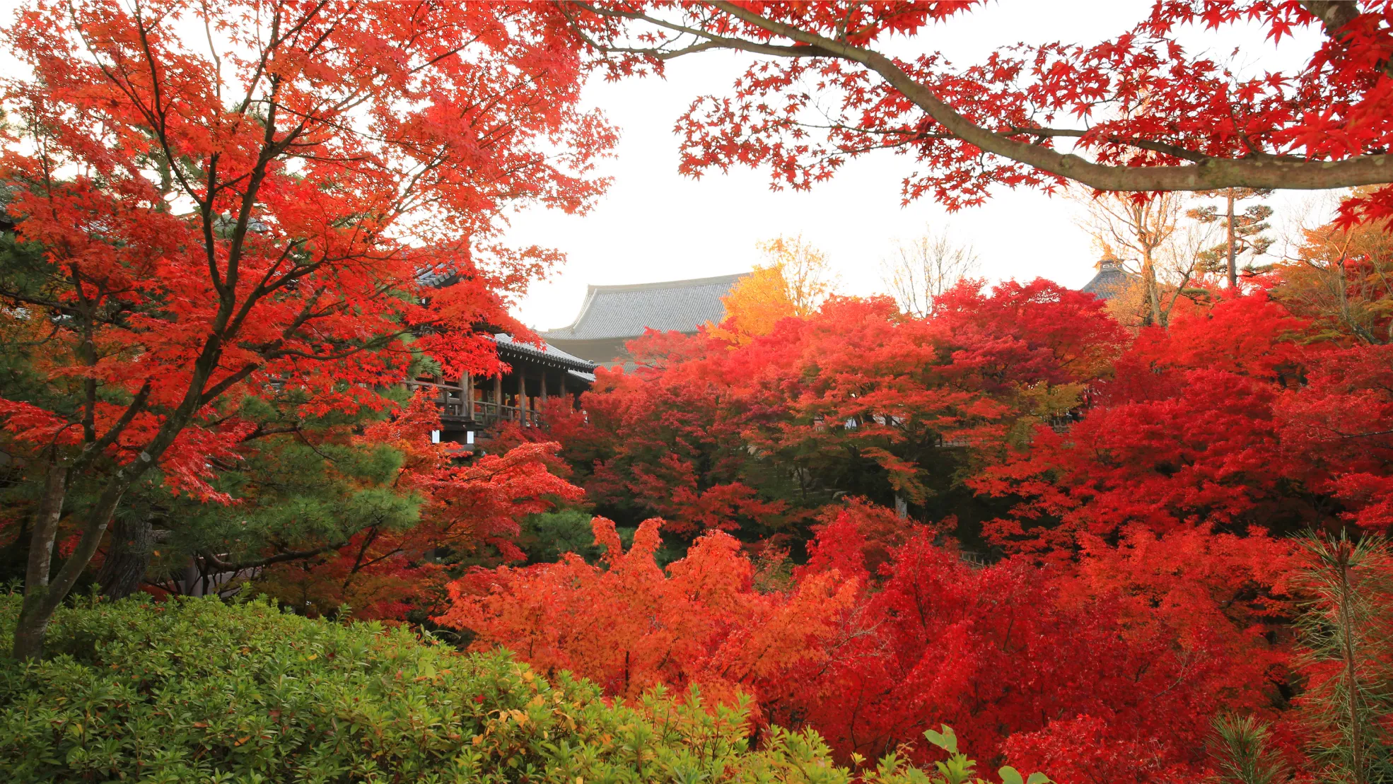 東福寺