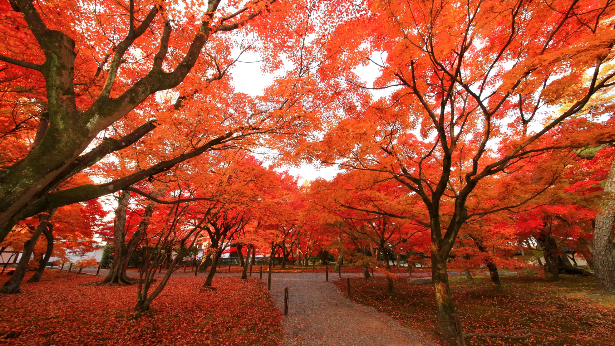 東福寺